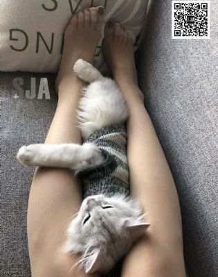 一道本毛片_国产剧影视在线观看