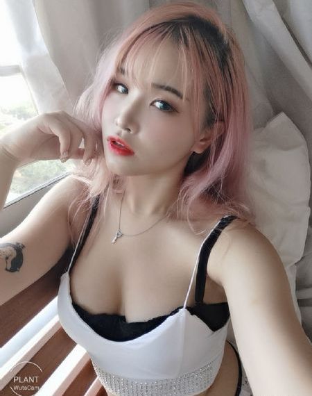 西厢记电影版完整版_HD免费观看视频